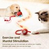 JinRui-T 2 PCS Active Rolling Ball with Tail for Dogs,Chewie