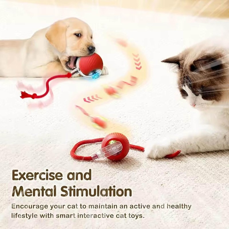 JinRui-T 2 PCS Active Rolling Ball with Tail for Dogs,Chewie