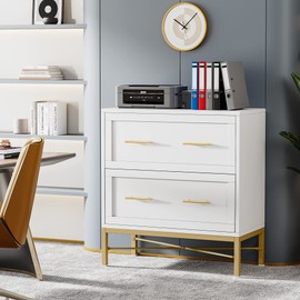 LITTLE TREE Modern 2 Drawer File Cabinet, Large Storage Cabinets Printer Stand for Home Office, White