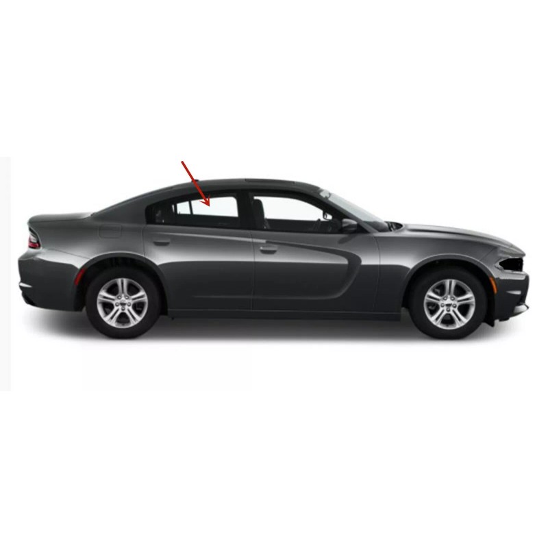 NAGD Fits 2011-2023 Dodge Charger Passenger Right Side Rear Door