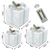 Vanleonet Set of 3 Christmas Lighted Gift Boxes, Christmas Decorations