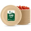 6 Inch 100 Count Round Paper Plates