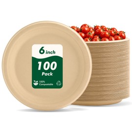6 Inch 100 Count Round Paper Plates