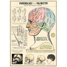 Cavallini & Co. Decorative Wrap Poster, Phrenology & Palmistry, 20 x 28 inch Italian Archival Paper (WRAP/PP)