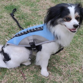 Dog Cooling Vest Summer Harness for Small Medium Reflective No Pull Jacket with Handle & Spike Protection