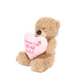 Cheeky Plush Teddy Bear 20cm – Hilarious Valentine's or B'day Gift! Soft Cuddly Bear Holding Heart or Star with Rude Sassy Message – Funny Gift for Boyfriend Girlfriend or Bestie (Bear Back)