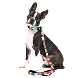 Max&Molly Dog Leash Slide Tag (Fits XS and S Leads) Power Dog 1