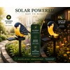 Solar Bird Garden Stake Light for Outdoor Décor – Resin