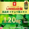 Ribeto Ginkgo Leaf Extract Plus, 30 Day Supply, Made in