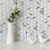 DICOFUN 1 Sheet Hexagon Tile Peel and Stick Backsplash, White