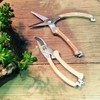 Dulton ROUND HEAD PRUNER K565-477 Pruning Scissors, Round Head Puller,