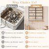 Hanging Jewelry Organizer 4-Tier Wall Earring Holder for Necklaces, Rings