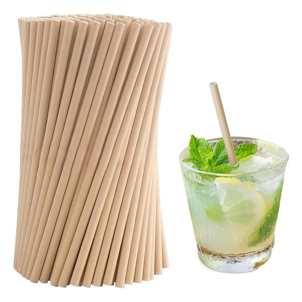 Paper Straws, Pack of 100 Drinking Straws, Biodegradable Paper Straws,