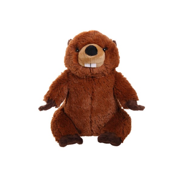 Plushland Study Buddies - 8" Beaver - Motivate Kids for Distance Learning and Company Children During The School Closures Due to The Holiday - Great Playmate in Kids acitivities