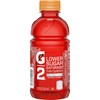 Gatorade G2 Thirst Quencher Sports Drink, Fruit Punch, 12oz Bottle,