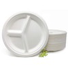 100% Compostable Heavyweight 10 inch 3 compartment plates (White), 500ct