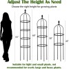 Garden Obelisk Trellis for Climbing Plants Outdoor 6 Ft Rose