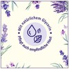 Le Petit Marseillais Pure Soap, Nourishing Hand Soap with Lavender