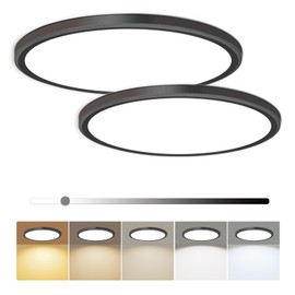 hunhun 2 Pack 16 Inch Dimmable LED Flush Mount Ceiling Light 4800LM Round Light Fixture 5 Color Temperature Selectable Super Slim Large Flat Ceiling Lamp for Living Dining Room Black