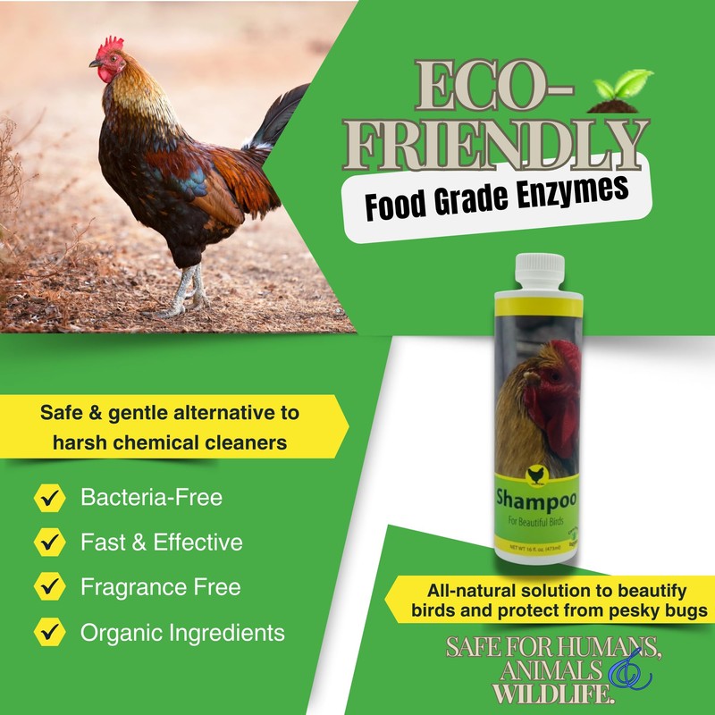 Care Free Enzymes Chicken Shampoo & Poultry Wash, 16 oz,