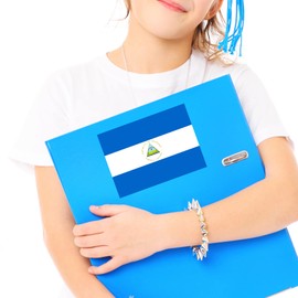 Flag of Nicaragua Sticker Decal Notebook Car Laptop 5.5"x4" (Color)