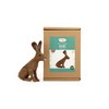 Wizardi Felting Kit - Hare KT-Hare2024 The Makerss