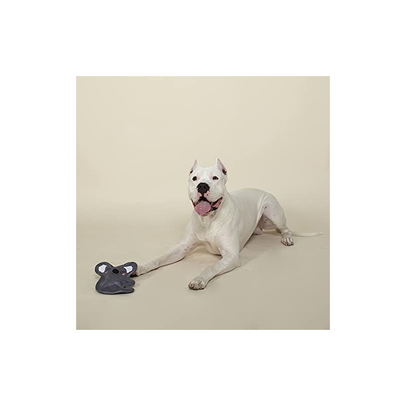 Fringe Studio Plush Dog Toy, Durable, Let's Have Some Koala-TY