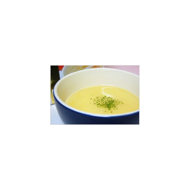 Sapporo Soup Factory Hokkaido Salmon Cream Soup [Potage]
