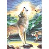 Mini Color Pencil By Number Kit 5"X7"-Wolf At Night12