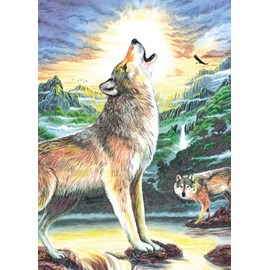 Mini Color Pencil By Number Kit 5"X7"-Wolf At Night12