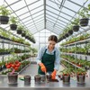 30Pcs Clear Plastic Nursery Pots with Drainage Holes and Saucers,