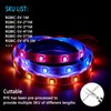 USB Power DC5V RGB+IC LED Strip Light,5m Tape Light with