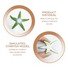 NIDHFG 12 Simulated Starfish Models, Marine Life Decorative Ornaments, Children'S