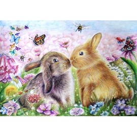 Meecaa Paint by Numbers Rabbit Spouse Flower Butterfly Animal Kit for Adults Beginner DIY Oil Painting 16x20 inch (Rabbit, No Frame)