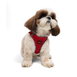 Tailpetz Red Small Dog Harness, Adjustable Step in No Pull Harness for Small Dogs, Reflective Puppy Harness for Puppy Training, Small Dog Harness Boy Girl (Red, S)