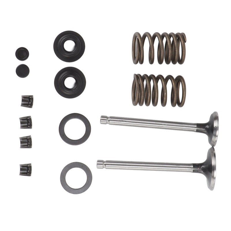 Microtiller Valve Parts Iron Wear Resistant Anti Corrosion Spring Washer