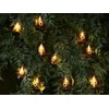 Generic Woot! Novelty Lights Woot Off String Light, Amber