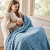 NEWCOSPLAY Super Soft Throw Blanket Blue Premium Silky Flannel Fleece