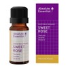 Absolute Essential Sweet Rose Essential Oil Blend, 10ml