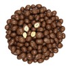 Smarty Stop Chocolate Covered Peanuts (1 Pound (Pack of 1),