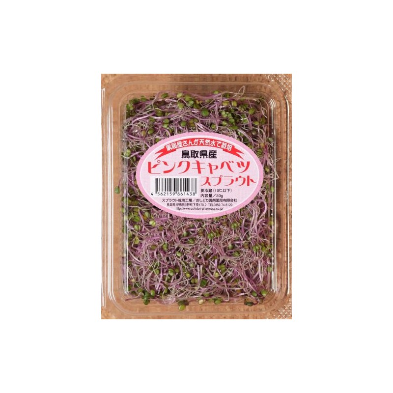 Sprout, 6 Types, 12 Pack Set