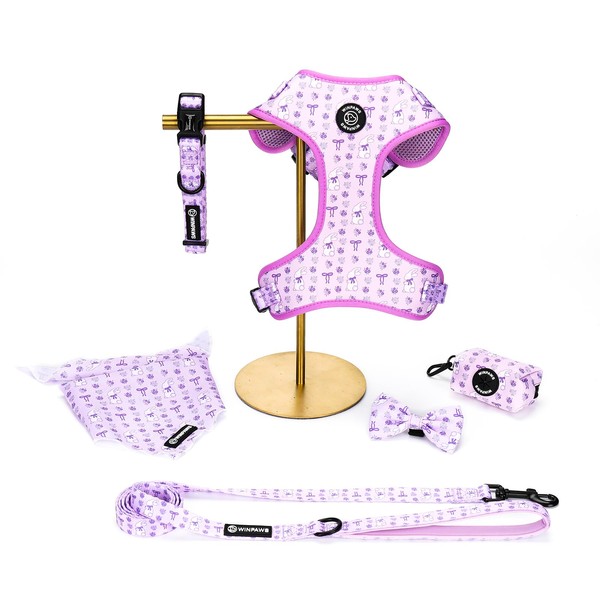 Dog Harness and Lead, Bow Tie Collar Set with Dog