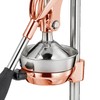 Cilio Commercial Grade Citrus Press Juicer, Copper