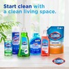 Clorox Antibacterial Liquid Hand Soap with Pump, Soothing Aloe Scent