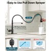 HOIGY Oil Rubbed Bronze Kitchen Faucet with Pull Down Sprayer,