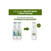 Shampoo Reparador Vegano Strength Recovery 1l | Biolage