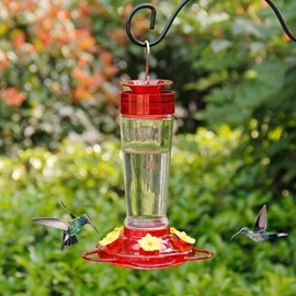 Shrdaepe Hummingbird Feeder Glass Bottle Bird Feeders 5 Feeding Ports 10-Ounc