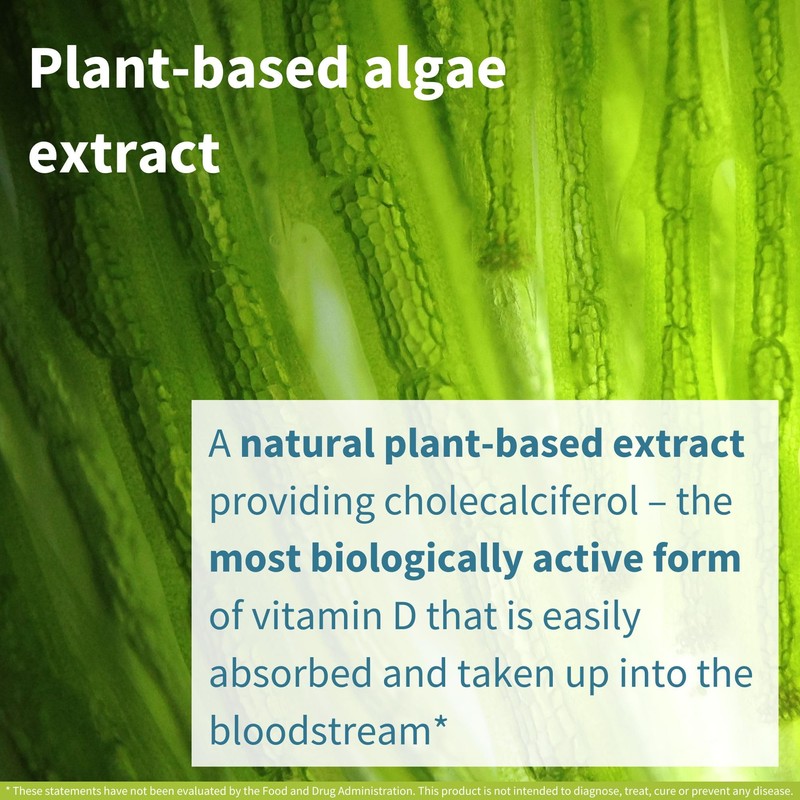 Igennus Natural Vegan Vitamin D3 1000IU, Clean Label, 365 Tablets,