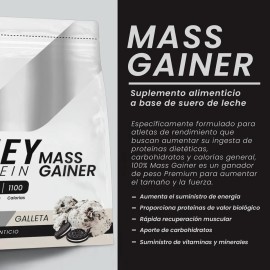 Suplemento Polvo Psn Whey Protein Mass Gainer 27kg Galleta