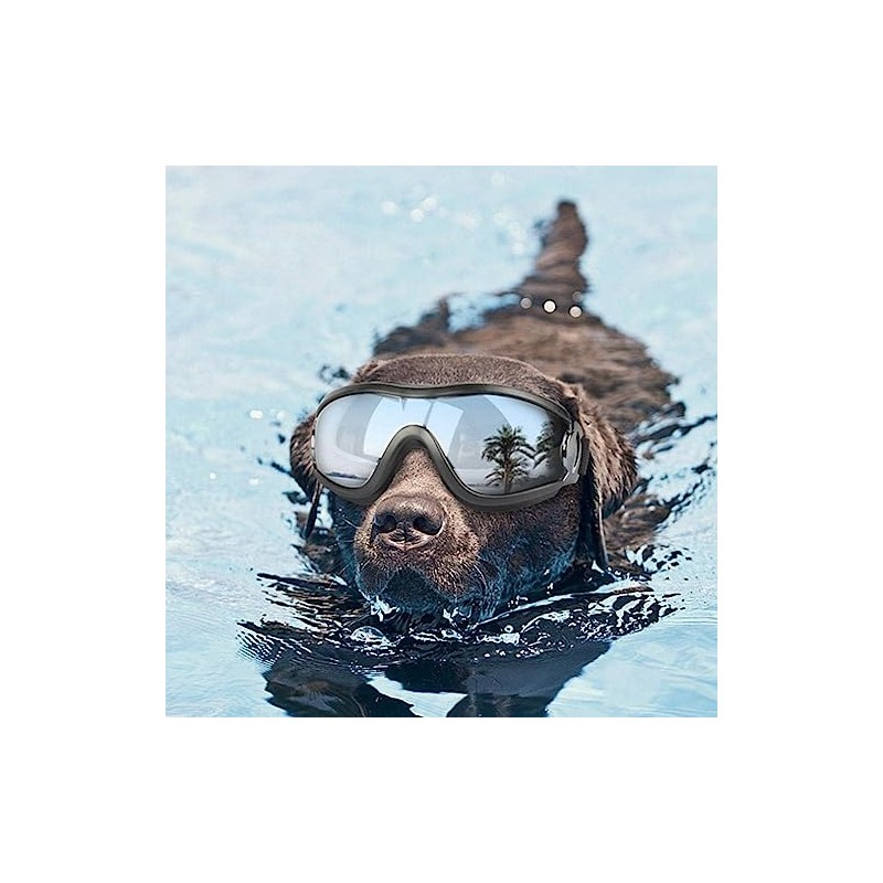 Gafas De Sol para Perros, Protección Ocular UV, Viento y